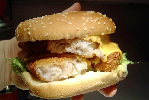 Fish burger (poisson)
