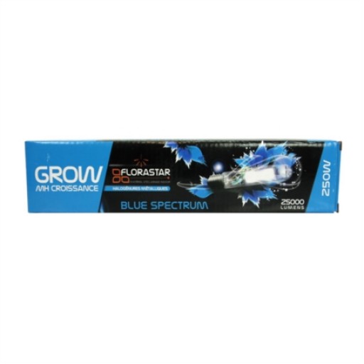 Ampoule MH 250W