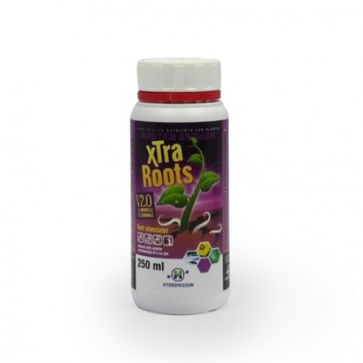 XTRA ROOTS